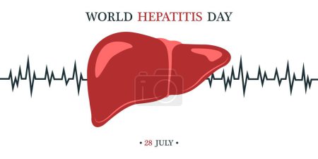 Illustration for Awareness banner for World Hepatitis Day with drawn liver - Royalty Free Image