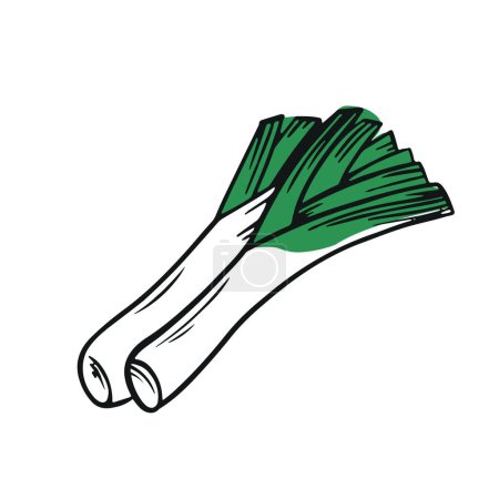 Téléchargez les illustrations : Oignons de poireau vert sur fond blanc - en licence libre de droit