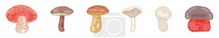 Illustration for Set of different mushrooms on white background - Royalty Free Image