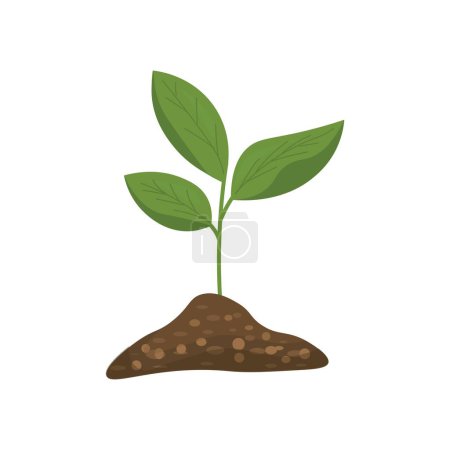 Illustration for Young plant with soil on white background - Royalty Free Image