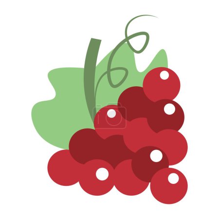 Illustration for Red grapes on white background - Royalty Free Image
