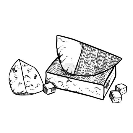 Illustration for Tasty cheese on white background - Royalty Free Image