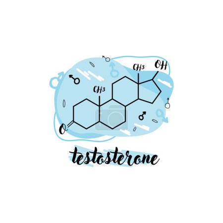 Téléchargez les illustrations : Formule chimique structurelle de l'hormone de testostérone sur fond blanc - en licence libre de droit