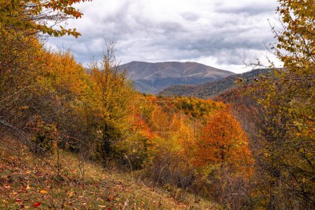 mountain landscape in the autumn season