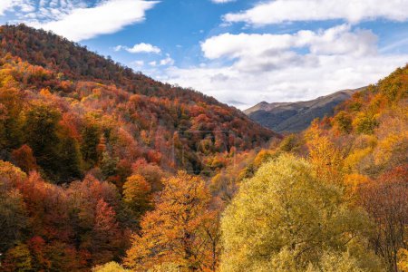 mountain autumn landscape in the mountains