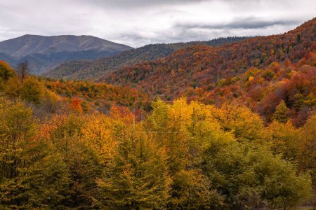colorful autumn landscape in the mountains