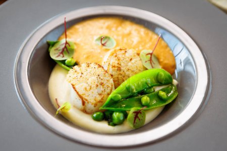 Photo for Scallops with shrimp foam, cauliflower cream and green peas on a plate. Delicious healthy seafood closeup served for lunch on a table in modern gourmet cuisine restaurant. - Royalty Free Image