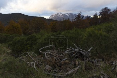 Téléchargez les photos : Paysage du parc national Picos de Europa en atumn avec des sommets et des feuilles de forêt vives au coucher du soleil - en image libre de droit