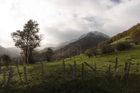 Téléchargez les photos : Paysage de forêt avec prairie verte en automne dans le nord puis montagnes cantabriques dans le parc naturel espagnol - en image libre de droit