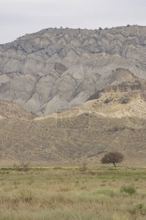 Foto de Paisaje del Parque Nacional Vashlovani de las montañas del Cáucaso en Georgia. Vista panorámica semidesértica de pastizales secos con montañas de barro y arbustos - Imagen libre de derechos