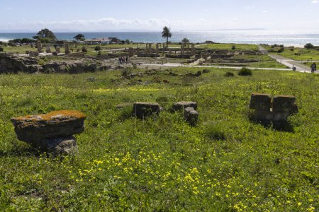 Sitio arqueológico romano con ruinas de foro y arquitectura de piedra en Baelo Claudia en la costa española con vista al mar en la costa de la luz en un día soleado brillante con cielo azul.