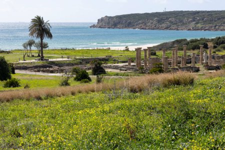 Roman archeological site with forum and stone architecture ruins in Baelo Claudia on the Spanish coast with ocean view on coasta de la luz on a bright sunny day with blue sky.