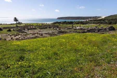 Römische Ausgrabungsstätte mit Forums- und Steinarchitektur-Ruinen in Baelo Claudia an der spanischen Küste mit Meerblick auf die Küste de la Luz an einem strahlend sonnigen Tag mit blauem Himmel.