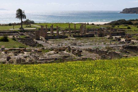 Sitio arqueológico romano con ruinas de foro y arquitectura de piedra en Baelo Claudia en la costa española con vista al mar en la costa de la luz en un día soleado brillante con cielo azul.