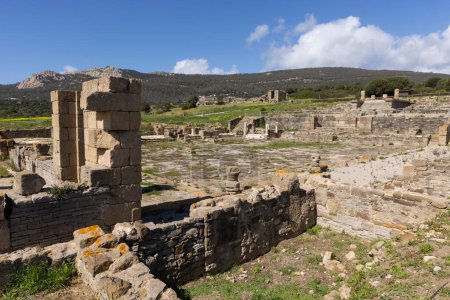 Römische castrum archäologische Ruinen in Baelo Claudia mit Steinsäulen und antiken Gebäuden an einem sonnigen Tag.