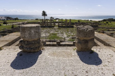Castrum romain ruines archéologiques à Baelo Claudia avec des colonnes de pierre et des bâtiments anciens par une journée ensoleillée.