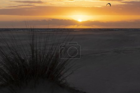 Kitesurfer cerf-volant volant embarquement et surf au coucher du soleil avec ciel jaune vif à côté de la plage avec buisson à costa de la luz sur la côte espagnole de l'Atlantique.