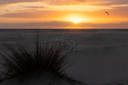 Foto de Kitesurfer volando cometa abordaje y surf al atardecer con cielo amarillo brillante junto a playa con arbusto en costa de la luz en la costa española del Atlántico. - Imagen libre de derechos