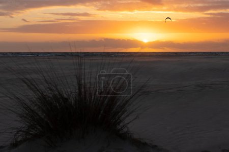 Kitesurfer flying kite boarding and surfing at sunset with bright yellow sky next to beach with bush in costa de la luz on the spanish coast of the Atlantic.
