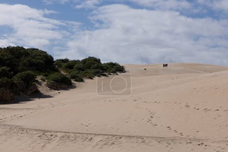 People trekking on foot walking up sand dune on a bright sunny day with blue sky at Punta Paloma in the south of Spain.