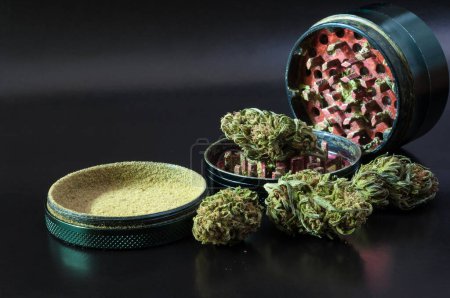 Téléchargez les photos : Broyeur d'herbes plein de pollen de cannabis entouré de fleurs sèches de marijuana médicale gros plan sur fond noir - en image libre de droit