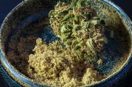 Téléchargez les photos : Broyeur d'herbes plein de pollen de cannabis entouré de fleurs sèches de marijuana médicale gros plan sur fond noir - en image libre de droit