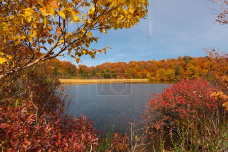 Téléchargez les photos : Saison des feuilles d'automne au Japon - en image libre de droit