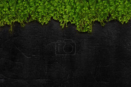 Téléchargez les photos : Texture de mur en béton avec fond vert - en image libre de droit