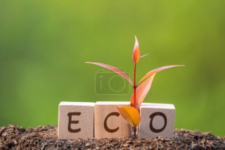 Téléchargez les photos : Eco Energy saving concept texte sur boîte en bois avec vert BG - en image libre de droit