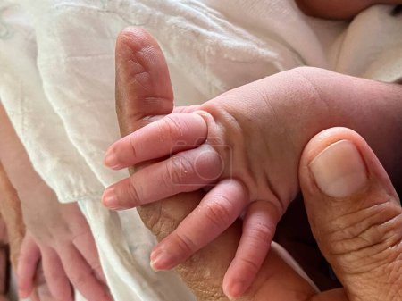 Photo for Newborn baby's hand in mother's hand, close-up - Royalty Free Image