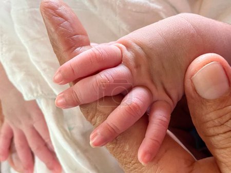 Photo for Close-up of a newborn baby's hand holding mother's hand - Royalty Free Image