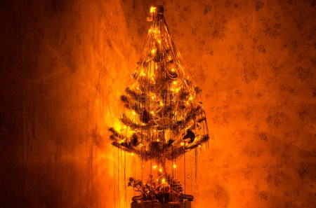 Photo for Christmas tree on a dark background - Royalty Free Image