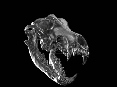Téléchargez les photos : Dark metal wolf skull with open jaws - en image libre de droit