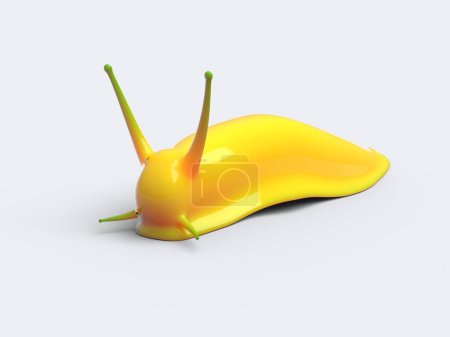 Téléchargez les photos : Limace jaune brillant sur fond blanc - en image libre de droit