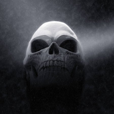 Téléchargez les photos : Crâne blanc effrayant sous la pluie - coup atmosphérique - en image libre de droit