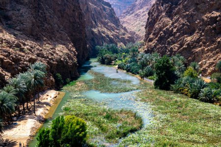Téléchargez les photos : Gorge de Wadi Ash Shab dans le gouvernorat du Sud-Est, Oman - en image libre de droit