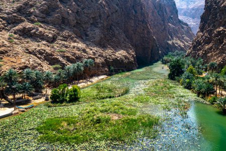 Téléchargez les photos : Gorge de Wadi Ash Shab dans le gouvernorat du Sud-Est, Oman - en image libre de droit