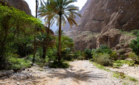 Foto de Garganta de Wadi Ash Shab en la gobernación del sudeste de Omán - Imagen libre de derechos