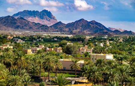 Téléchargez les photos : Vue de la ville de Bahla dans le gouvernorat d'Ad Dakhiliyah, Oman - en image libre de droit