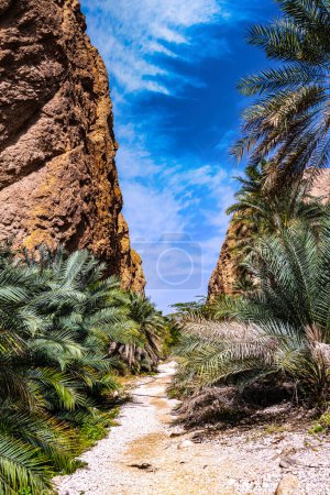 Schlucht des Wadi Ash Shab im südöstlichen Gouvernement Oman