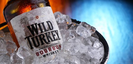 Foto de POZNAN, POL - 28 de FEB de 2024: Botella de Wild Turkey, una marca de whisky bourbon de Kentucky producido por la división Austin Nichols de Campari Group - Imagen libre de derechos
