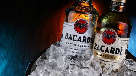 Foto de POZNAN, POL - 12 de abril de 2024: Botellas de ron Bacardi, producto de Bacardi Limited, la mayor empresa privada de bebidas espirituosas de propiedad familiar del mundo, con sede en Hamilton, Bermudas. - Imagen libre de derechos