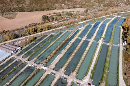 Photo for Fish farm in the crystal clear, cold and contaminant-free waters of the Aragon river in Yesa Navarra Spain where they raise the sturgeon - Royalty Free Image