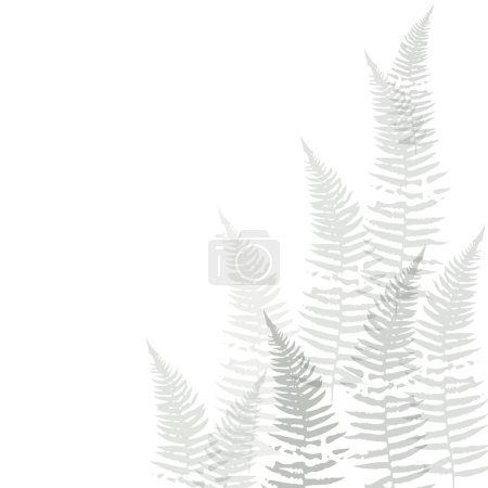 Delicado patrón vectorial con flores silvestres, hierbas botánicas. Colores pastel suave verde hojas de fondo