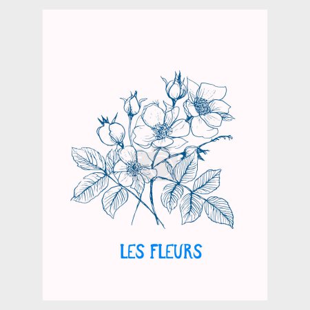 Rose flower vector illustration. Poster design. Floral clipart. Botanical art. Modern blue vibrant color sketch artistic.