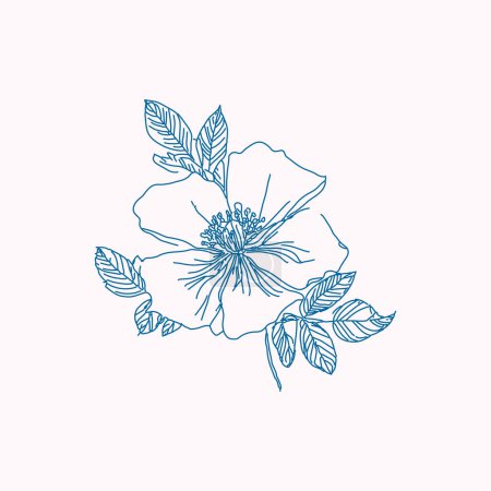 Rose flower vector illustration. Poster design. Floral clipart. Botanical art. Modern blue vibrant color sketch artistic.