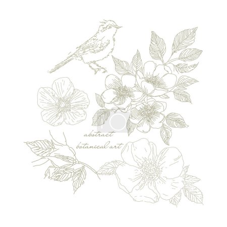 Ilustración floral abstracta con pájaro gorrión, rama de rosa silvestre, rama de flor de rosa mosqueta. Bosquejo artístico botánico delicado. Ilustración vectorial