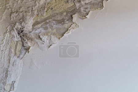 Téléchargez les photos : Mur avec plâtre se détériorera de l'humidité. Photo de haute qualité - en image libre de droit