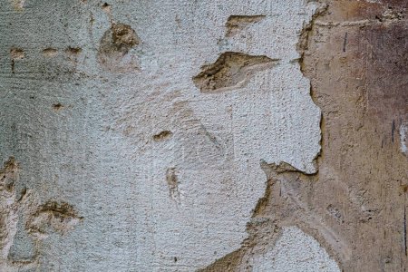 Téléchargez les photos : Ancien mur abandonné. texture mur de plâtre. - en image libre de droit