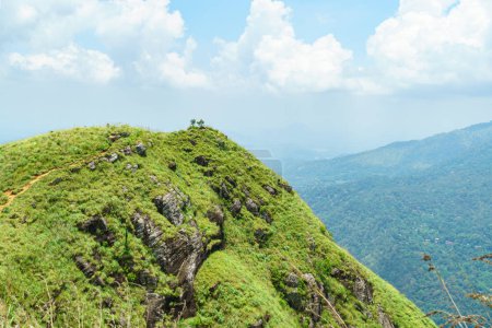 Téléchargez les photos : Haut d'une montagne rocheuse couverte d'herbe verte. - en image libre de droit